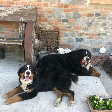 Bed and breakfast New Flowers Farm Noceto