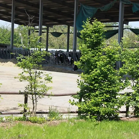 New Flowers Farm Nocleg ze śniadaniem Noceto