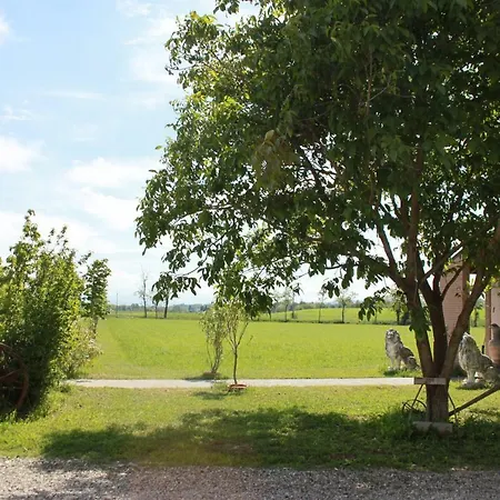 New Flowers Farm Noceto