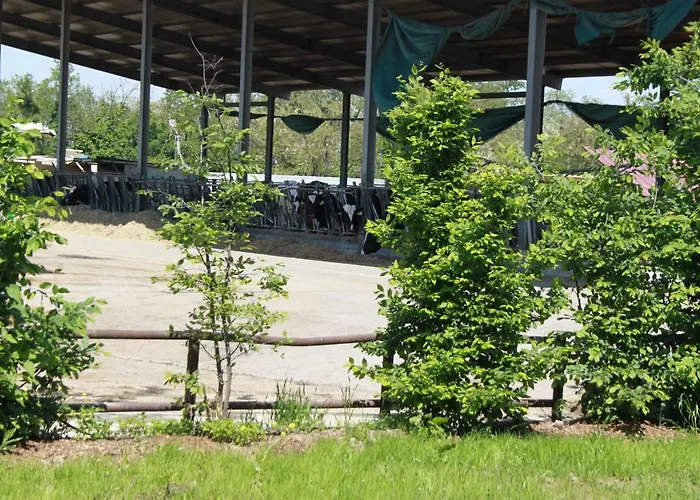 New Flowers Farm Nocleg ze śniadaniem Noceto