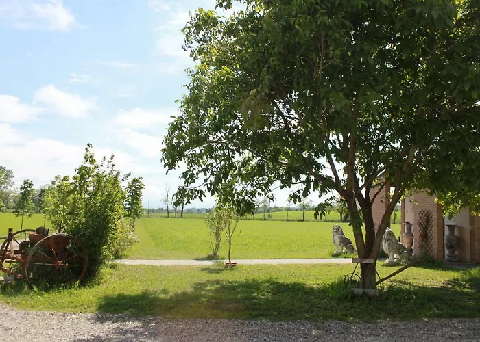 New Flowers Farm Noceto